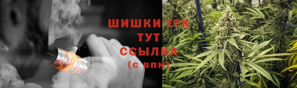 ГАЛЛЮЦИНОГЕННЫЕ ГРИБЫ Бородино