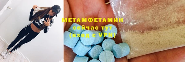 ГАЛЛЮЦИНОГЕННЫЕ ГРИБЫ Бородино