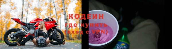 ГАЛЛЮЦИНОГЕННЫЕ ГРИБЫ Бородино