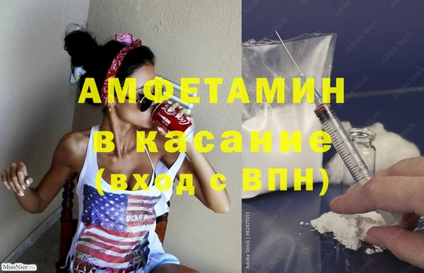 ГАЛЛЮЦИНОГЕННЫЕ ГРИБЫ Бородино