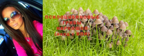 ГАЛЛЮЦИНОГЕННЫЕ ГРИБЫ Бородино