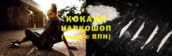 ГАЛЛЮЦИНОГЕННЫЕ ГРИБЫ Бородино