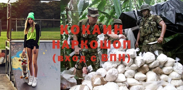 ГАЛЛЮЦИНОГЕННЫЕ ГРИБЫ Бородино